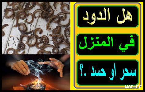 وجود الدود في المنزل بدون سبب وجود الدود في المنزل بدون سبب