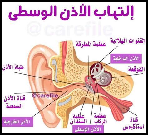وظائف الأذن الوسطى