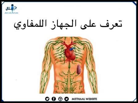 وظائف الجهاز اللمفاوي وكيفية تقويته