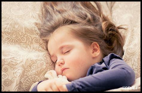 يلا تنام واهديلك طير الحمام كلمات