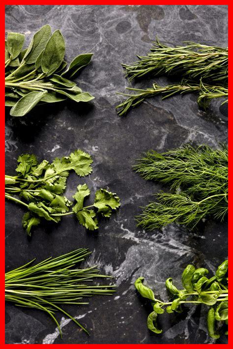 38. أحدث النكهات للشوكيت التي يجب تجربتها 38. أحدث النكهات للشوكيت التي يجب تجربتها