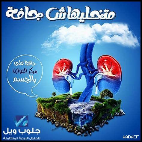 40. هل يمكن شرب اللامبروسكو مع التحلية؟
