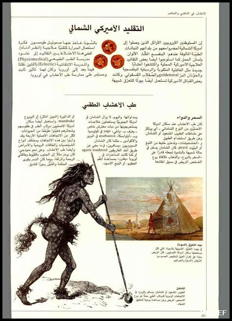 – كيف أتعلم فن التذوق لنبيذ Primitivo؟