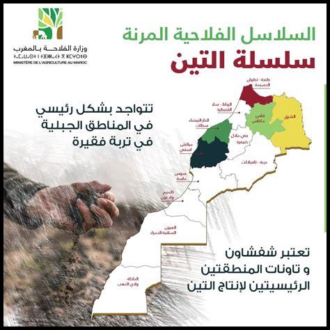 – كيف تتكيف مكة مع التغيرات المناخية؟