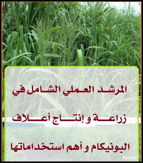 - كيف تختار سنة الإنتاج المناسبة لنبيذ Amarone؟ – كيف تختار سنة الإنتاج المناسبة لنبيذ Amarone؟