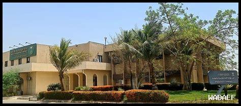 - ما هي أهم أخبار البيئية في مكة؟ – ما هي أهم أخبار البيئية في مكة؟