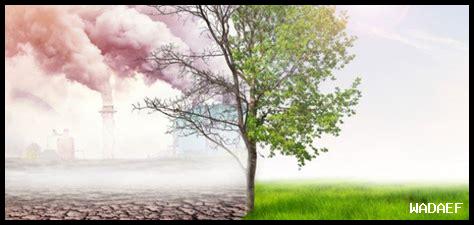 – ما هي التحديات البيئية الحالية في الجزيرة الحمراء؟