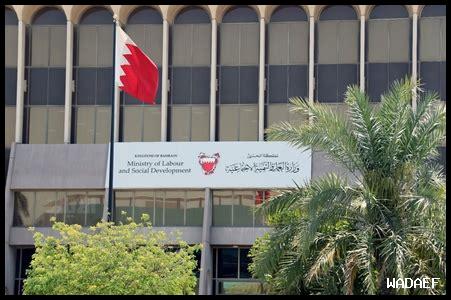 – ما هي فرص العمل المتاحة في الباحة اليوم؟