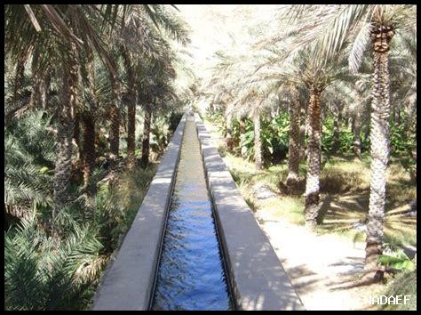 آ خر التطورات في فلج المعلا اليوم آ خر التطورات في فلج المعلا اليوم