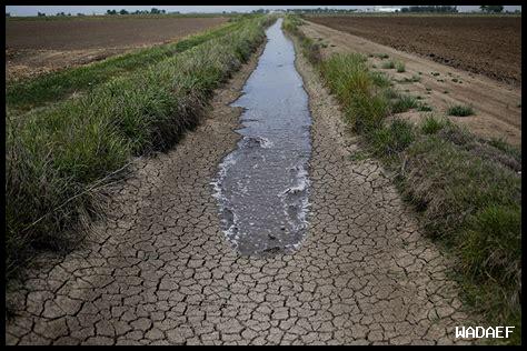 أزمة المياه في الهند تؤدي إلى احتجاجات واسعة