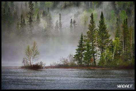 أفضل الطرق للحفاظ على الغابات والمناطق البرية