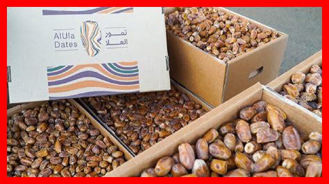 إطلاق خدمة جديدة لمساعدة المزارعين على تحسين إنتاجيتهم إطلاق خدمة جديدة لمساعدة المزارعين على تحسين إنتاجيتهم