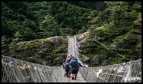 الأنشطة العائلية لغافي اليوم