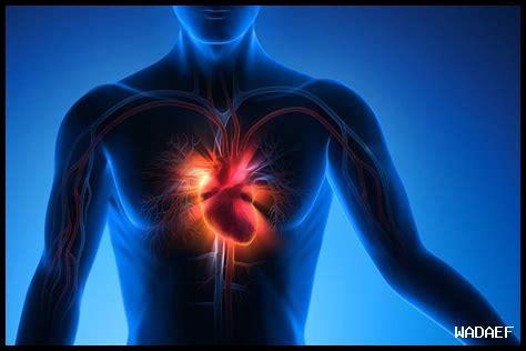 رعشة في الجسم وسرعة ضربات القلب