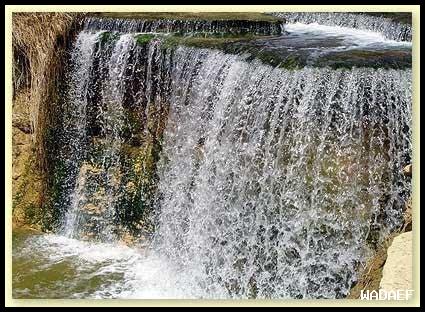 فتستفيق ملء روحي رعشة البكاء