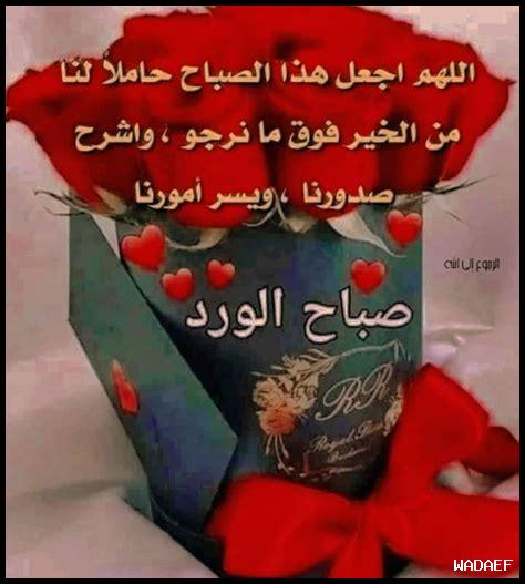 فيديوهات أصلية للأطفال بدون حذف