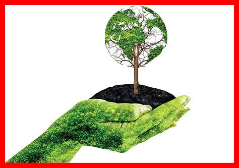 قصص الاستدامة في المبرز قصص الاستدامة في المبرز