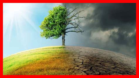 كيف تؤثر التغيرات المناخية على كلباء كيف تؤثر التغيرات المناخية على كلباء