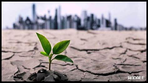 كيف تؤثر التغيرات المناخية على كلباء كيف تؤثر التغيرات المناخية على كلباء