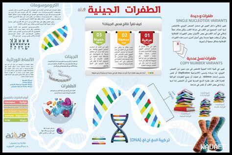 كيف تؤثر الطفرات الجينية على الأفراد؟ كيف تؤثر الطفرات الجينية على الأفراد؟