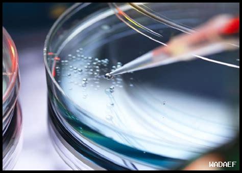 كيف تؤثر سكاكر سكلتس المجففة بالتجميد على الوزن