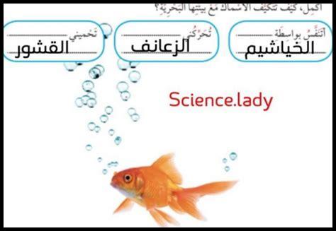 كيف تتكيف الأسواق العالمية مع تغيرات الاقتصاد الصيني