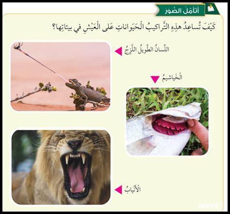كيف تساعد غاليت دي روا في جمع الأصدقاء والعائلة؟