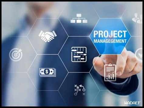 كيف تساند الشارقة المشاريع الناشئة؟