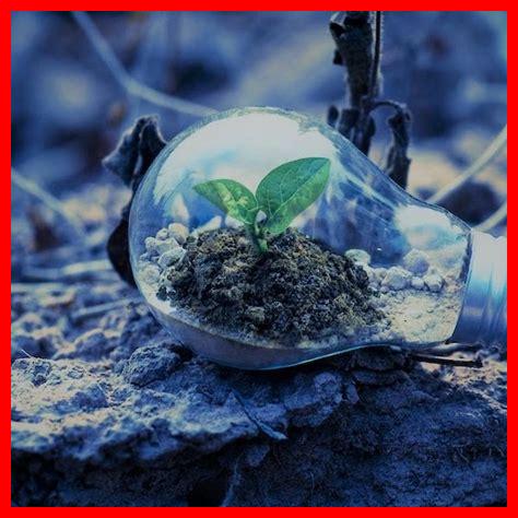 كيف تساهم الشارقة في الحفاظ على التراث؟ كيف تساهم الشارقة في الحفاظ على التراث؟