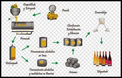 كيف تعقد شراكة ناجحة مع مصانع نبيذ Nebbiolo؟