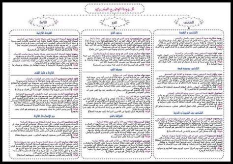 كيف يؤثر الوضع الحالي على قطاع السياحة في نجران؟