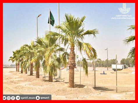 كيف يؤثر الوضع في القطيف على البنية التحتية؟ كيف يؤثر الوضع في القطيف على البنية التحتية؟
