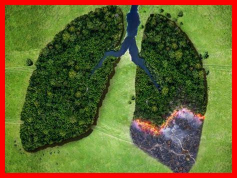 كيف يؤثر تغيّر الأسعار على محبي الكرواسان؟ كيف يؤثر تغيّر الأسعار على محبي الكرواسان؟