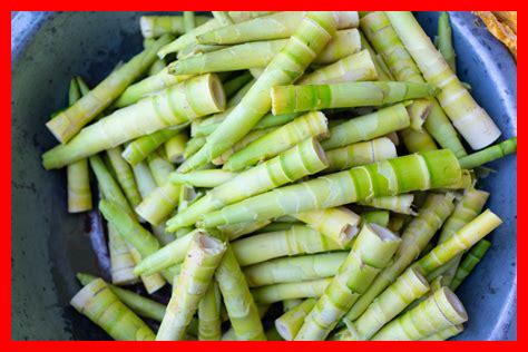 كيف يمكن استخدام مشروبات البروبيوتيك في وصفات الطعام؟ كيف يمكن استخدام مشروبات البروبيوتيك في وصفات الطعام؟