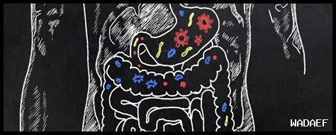 كيف يمكن استخدام مشروبات البروبيوتيك في وصفات الطعام؟ كيف يمكن استخدام مشروبات البروبيوتيك في وصفات الطعام؟