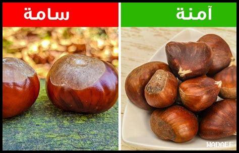 كيف يمكنك التمييز بين Nero d’Avola الجيد والسيئ؟