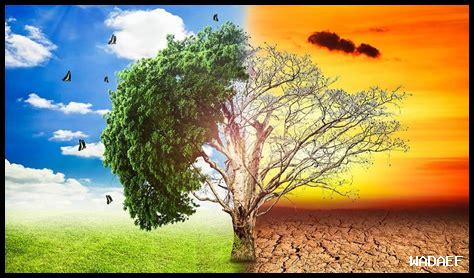 كيفية تأثير التغير المناخي على الزراعة؟