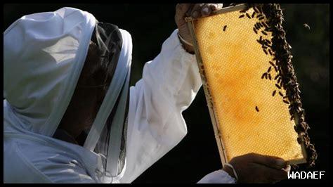 كيفية تأثير التغير المناخي على الفيضانات والأعاصير؟