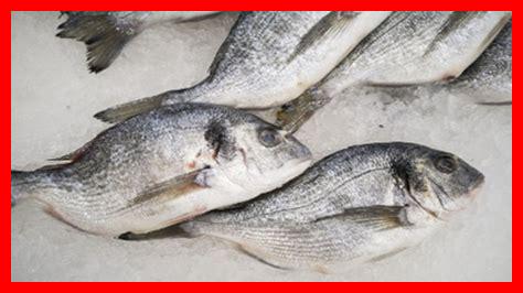 ما الذي يجب معرفته عند شراء الجيوزا المجمدة؟ ما الذي يجب معرفته عند شراء الجيوزا المجمدة؟