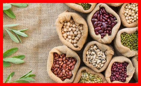 ما الفوائد الصحية لتناول الجيوزا المقلية؟ ما الفوائد الصحية لتناول الجيوزا المقلية؟