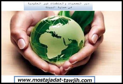 ما دور المنظمات غير الحكومية في حماية حقوق الإنسان؟