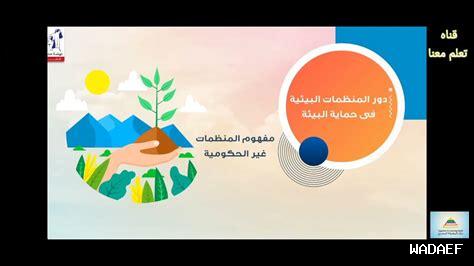 ما دور المنظمات غير الحكومية في دعم دراسات الجندر