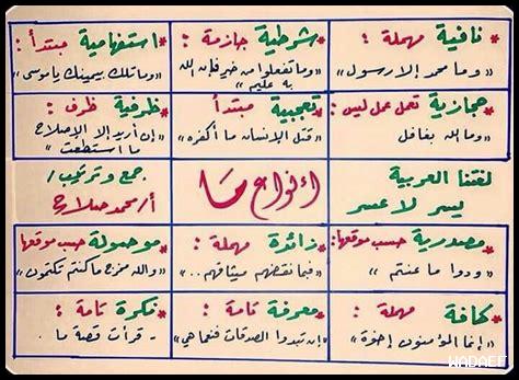 ما هما أنواع البروسيكو المختلفة؟