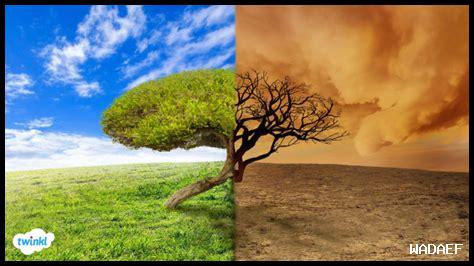 ما هو تأثير التغير المناخي على سواف؟ ما هو تأثير التغير المناخي على سواف؟