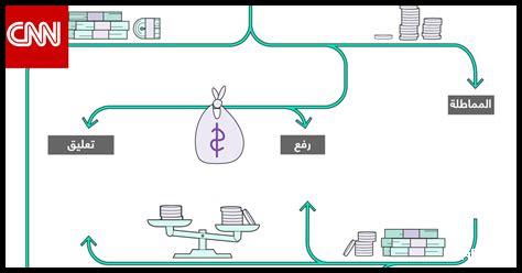 ما هو تأثير السياسات الاقتصادية الجديدة على سوبا