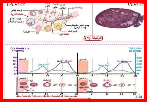 ما هو تأثير النشاط البشري على البيولوجيا؟ ما هو تأثير النشاط البشري على البيولوجيا؟