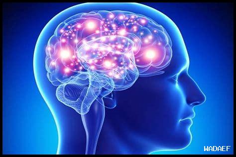 ما هو تأثير النشاط البشري على البيولوجيا؟ ما هو تأثير النشاط البشري على البيولوجيا؟