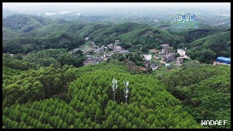 ما هي آخر أخبار البنية التحتية للإنترنت في تبوك ما هي آخر أخبار البنية التحتية للإنترنت في تبوك