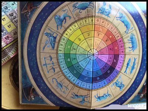 ما هي أبرز الاهتمامات الشبابية في الظفرة