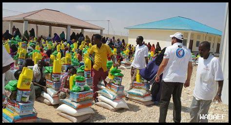 ما هي أبرز الشهادات حول شراشف التأريض